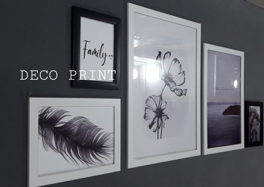 لوحات جدارية واجهة زجاجية خاصة بالرواق و الصالونات