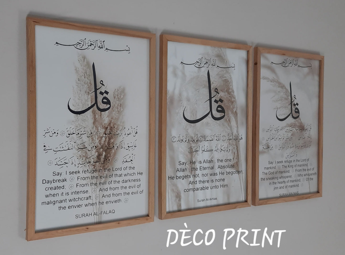 لوحات جدارية خاصة بالرواق و الصالونات