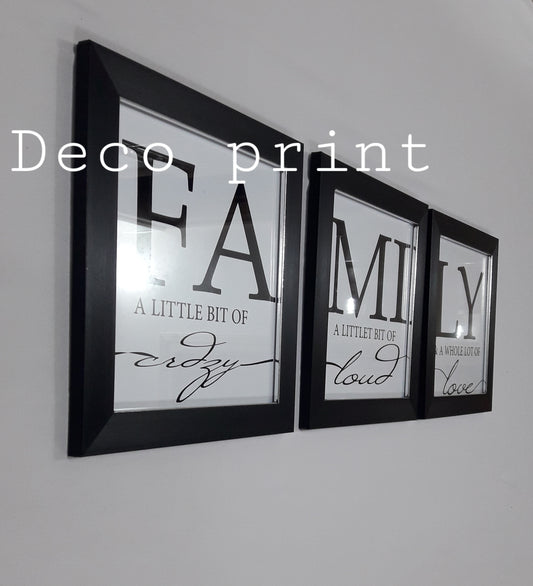 لوحات جدارية واجهة زجاجية خاصة بالرواق و الصالونات