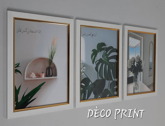 لوحات جدارية خاصة بالرواق و الصالونات