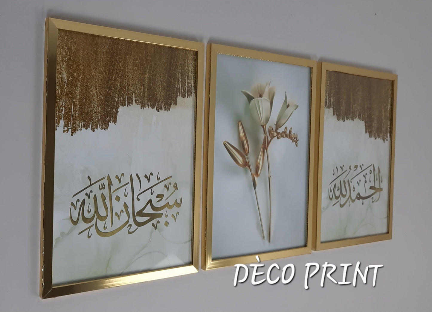 لوحات جدارية خاصة بالرواق و الصالونات