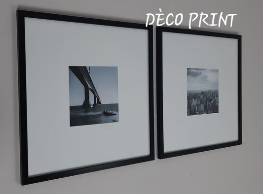 لوحات جدارية خاصة بالرواق و الصالونات