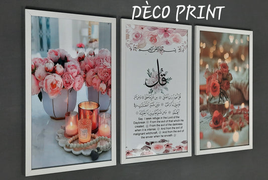 لوحات جدارية خاصة بالرواق و الصالونات