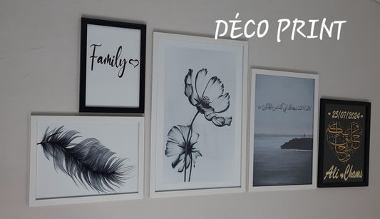 لوحات جدارية خاصة بالرواق و الصالونات