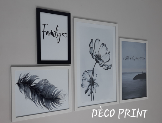 لوحات جدارية خاصة بالرواق و الصالونات