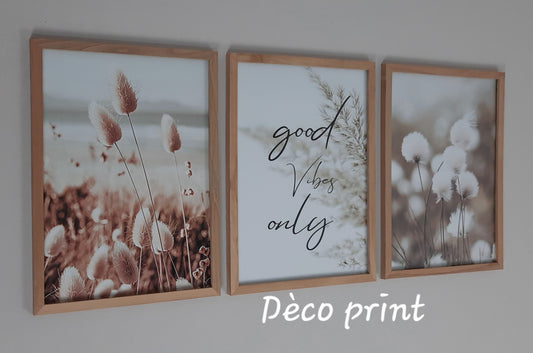 لوحات جدارية خاصة بالرواق و الصالونات