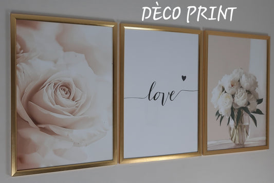 لوحات جدارية خاصة بالرواق و الصالونات