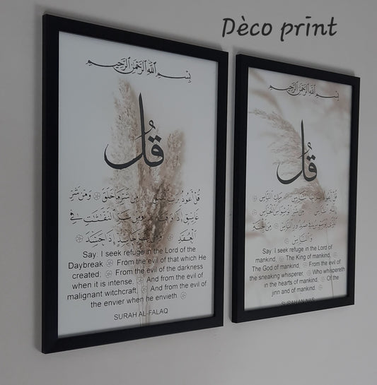 لوحات جدارية خاصة بالرواق و الصالونات