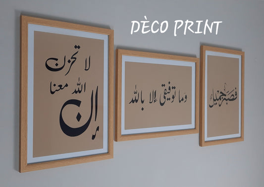 لوحات جدارية خاصة بالرواق و الصالونات