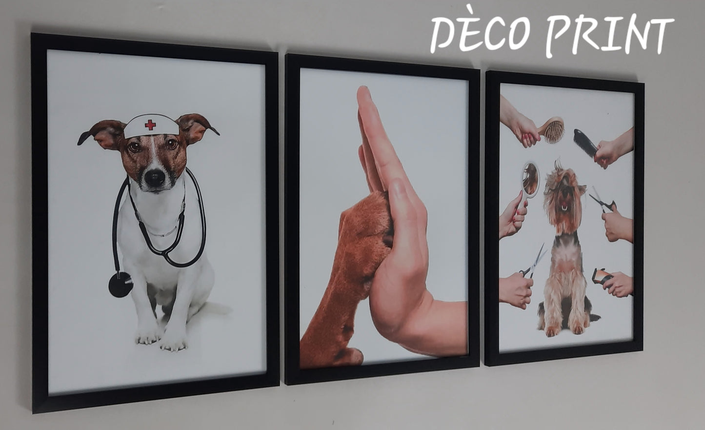 لوحات جدارية خاصة بعيادات البيطري