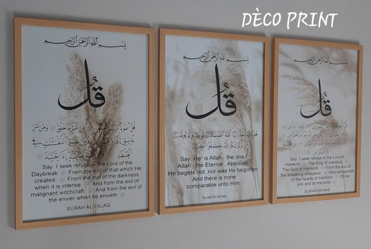 لوحات جدارية خاصة بالرواق و الصالونات