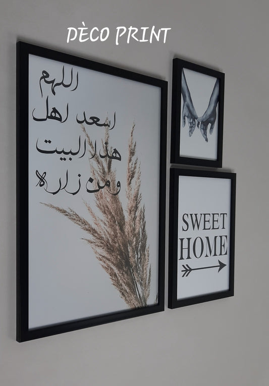 لوحات جدارية خاصة بالرواق و الصالونات