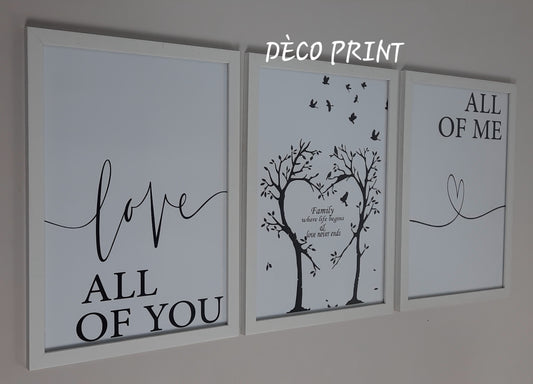 لوحات جدارية خاصة بالرواق و الصالونات