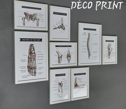 لوحات جدارية خاصة بعيادات طب العضام