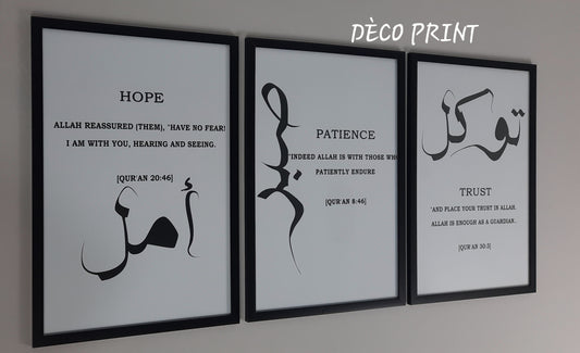 لوحات جدارية خاصة بالرواق و الصالونات