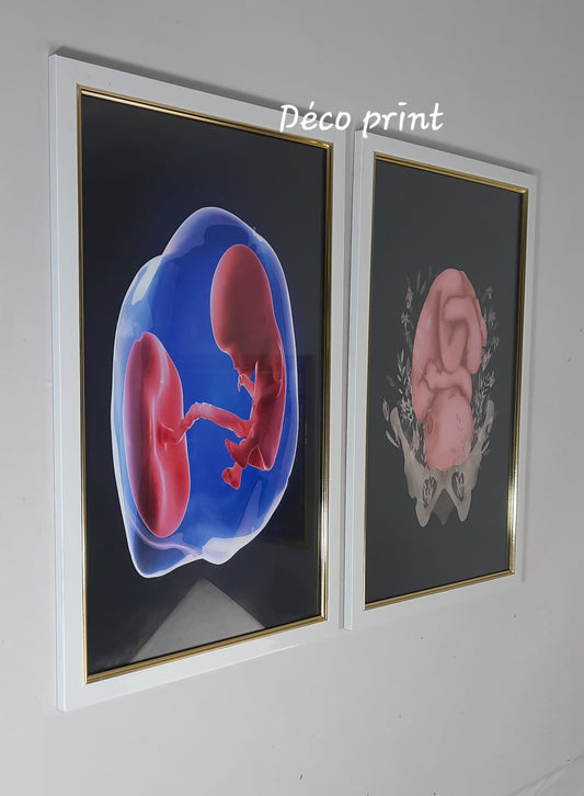 تابلوهات زجاجية خاصة بعيادة طب النساء