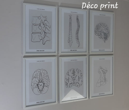 لوحات جدارية خاصة بعيادات طب العضام