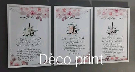 لوحات جدارية خاصة بالرواق و الصالونات