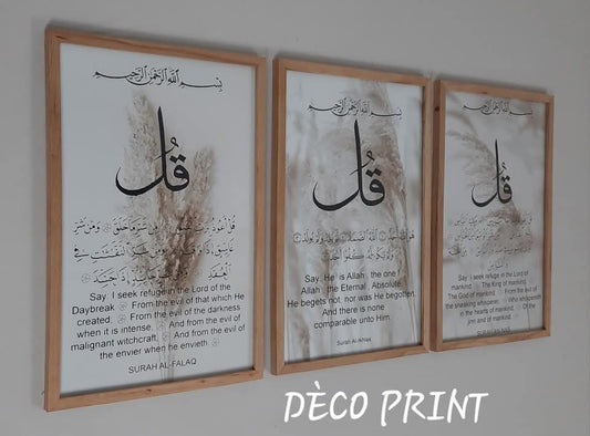 لوحات جدارية خاصة بالرواق و الصالونات