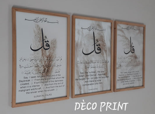 لوحات جدارية خاصة بالرواق و الصالونات