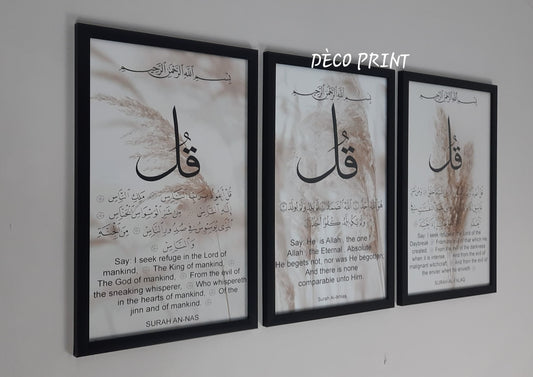 لوحات جدارية خاصة بالرواق و الصالونات